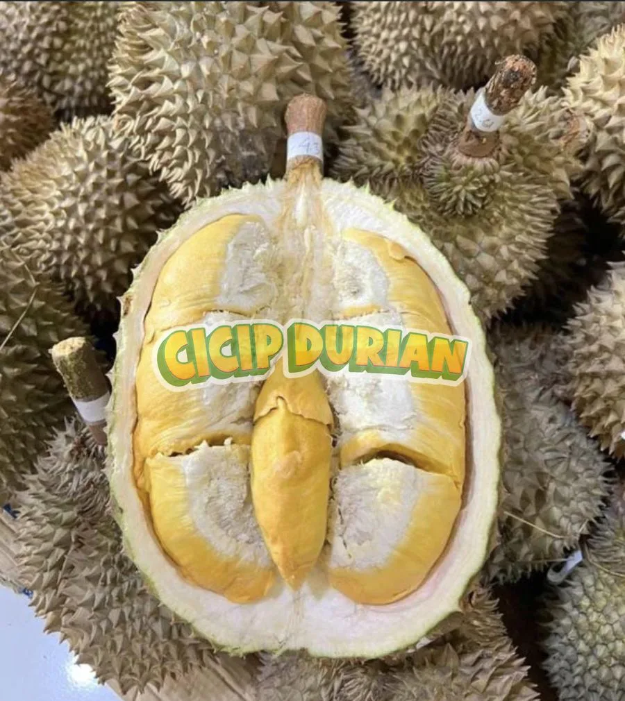 Daging durian Bawor tebal dan creamy dengan tumpukan durian di latar belakang
