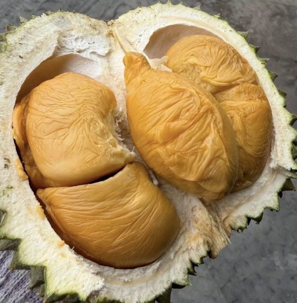 Durian Blackthorn dibelah dari atas menunjukkan daging orange tebal dan biji kecil