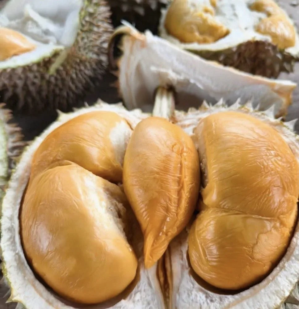 Durian Blackthorn D200 dibelah menampilkan daging orange tebal berlapis
