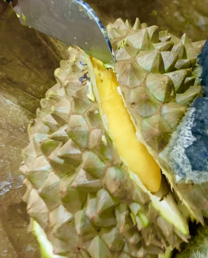 Durian Montong Palu utuh sedang dibelah
