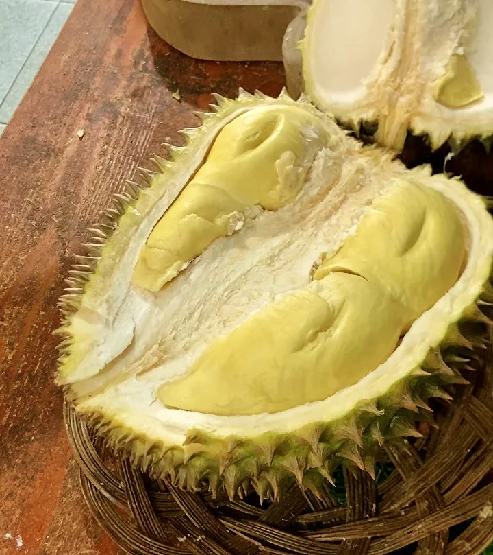 Durian Montong Palu dibelah, daging tersusun rapi