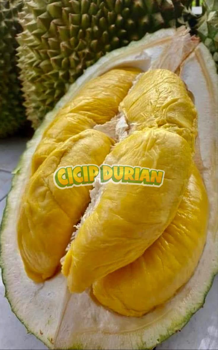 Durian Musang King