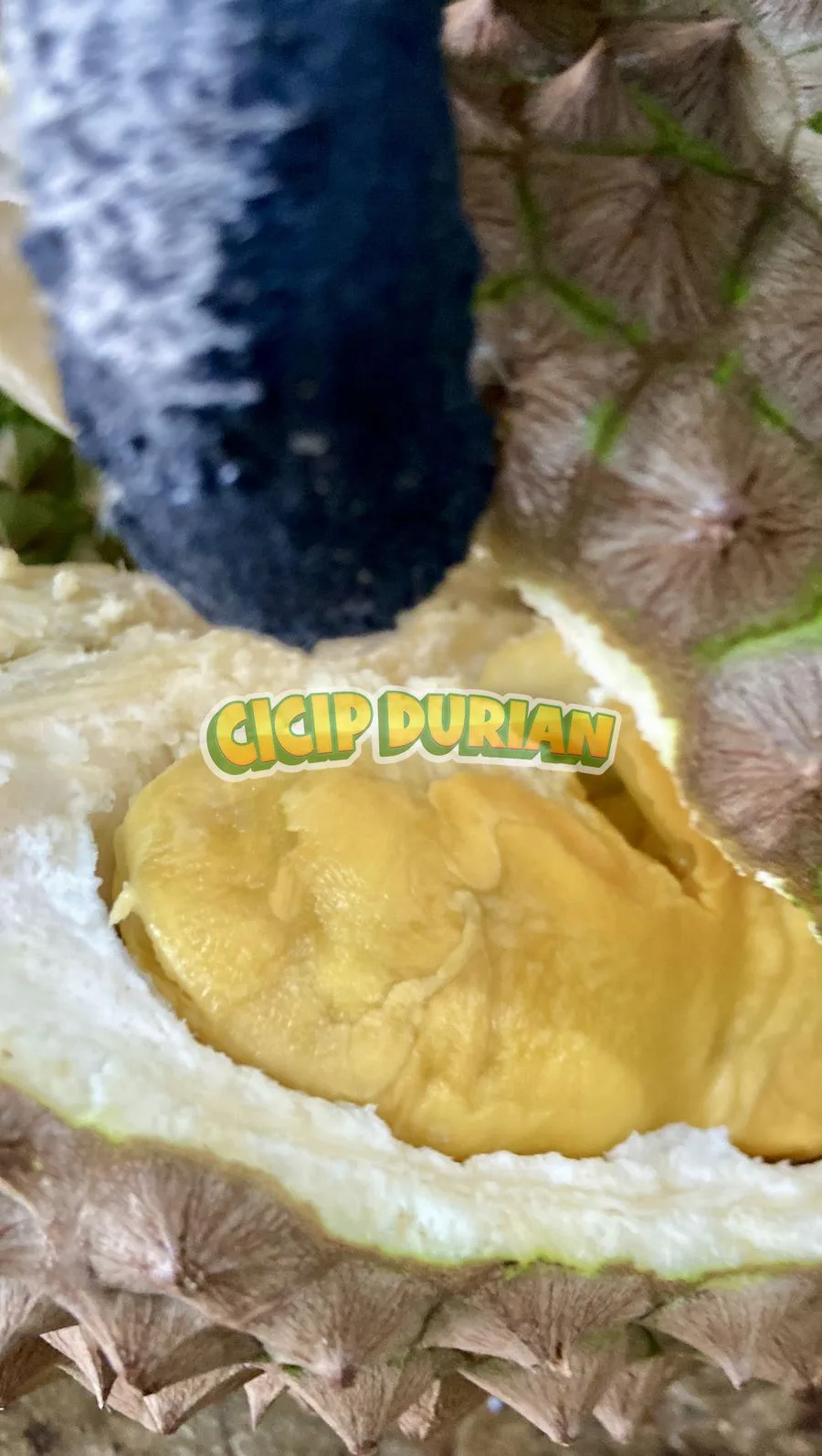 Daging durian Simimang berwarna kuning pucat dan lembut
