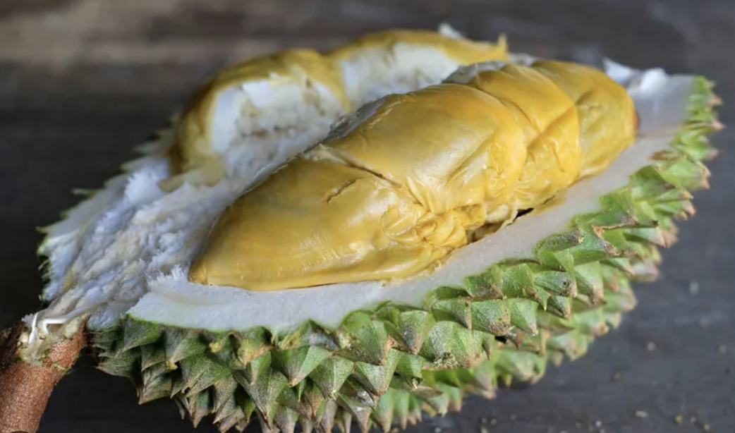 Durian Tupai King