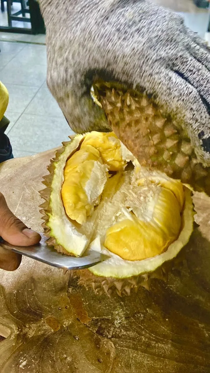 Proses seleksi ketat QC durian Bawor oleh tim Cicip Durian