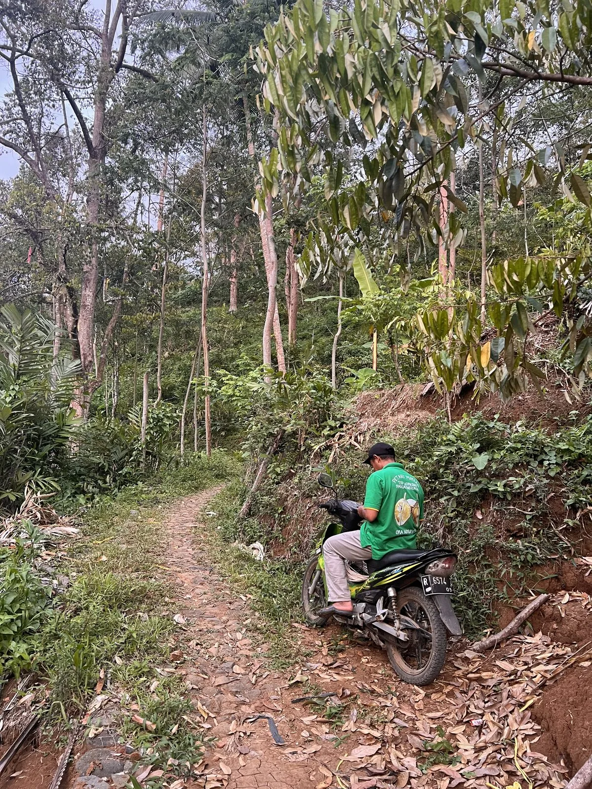 Kebun mitra Banjarnegara