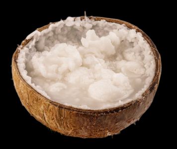 Kelapa Kopyor