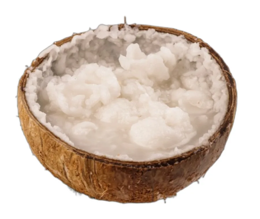 Kelapa Kopyor