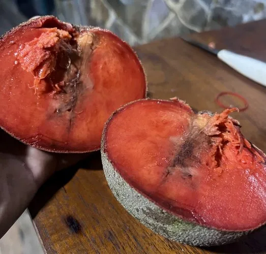 Mamey Sapote