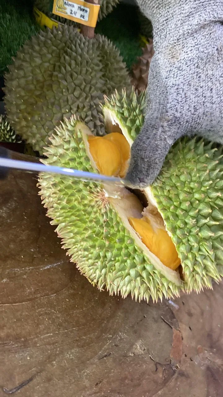 Proses membuka durian Mas Muar IOI D168 dengan pisau oleh tim Cicip Durian