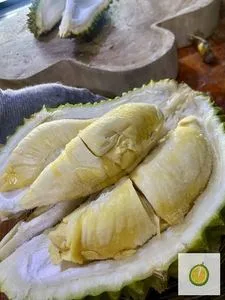 Durian Frozen premium siap makan