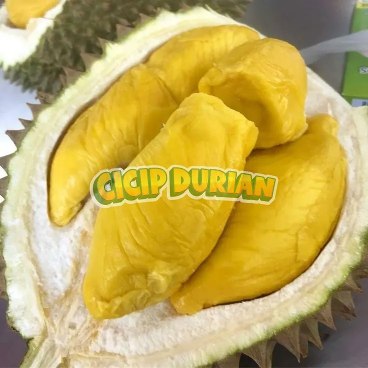 Daging durian Musang King berwarna kuning cerah dan tebal