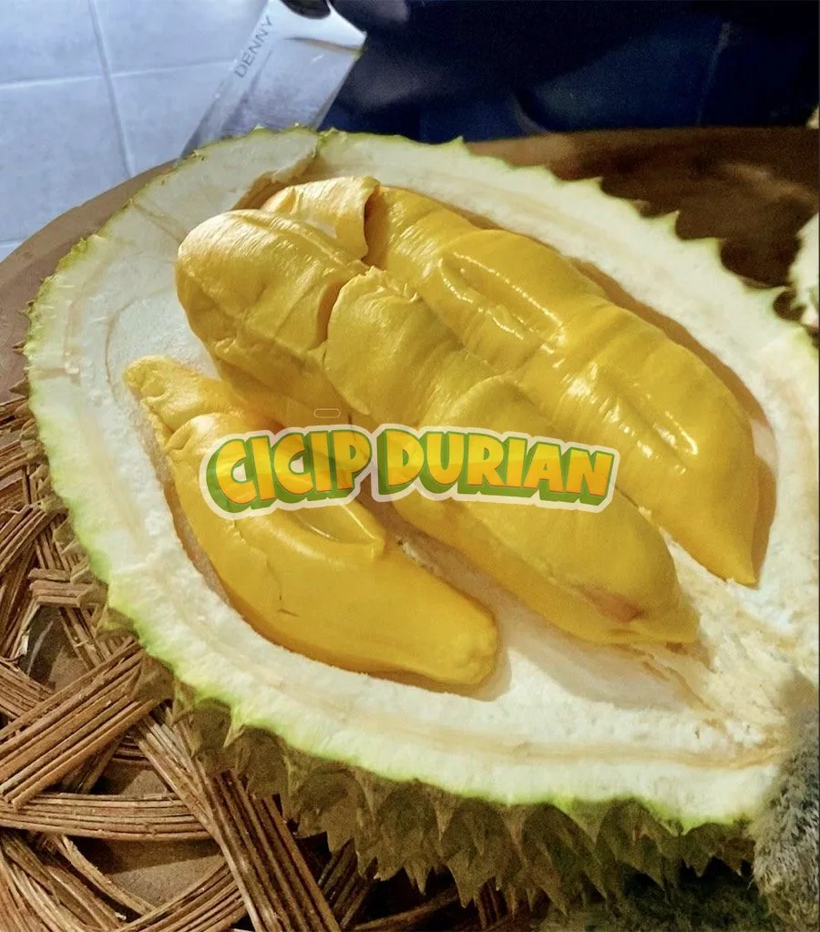 Daging durian Musang King di atas talenan kayu Cicip Durian