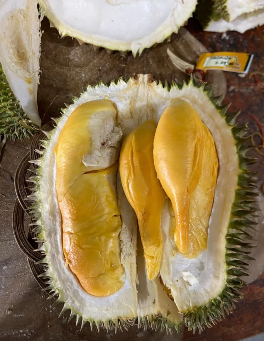 Durian Masmuar IOI D168 Cicip Durian