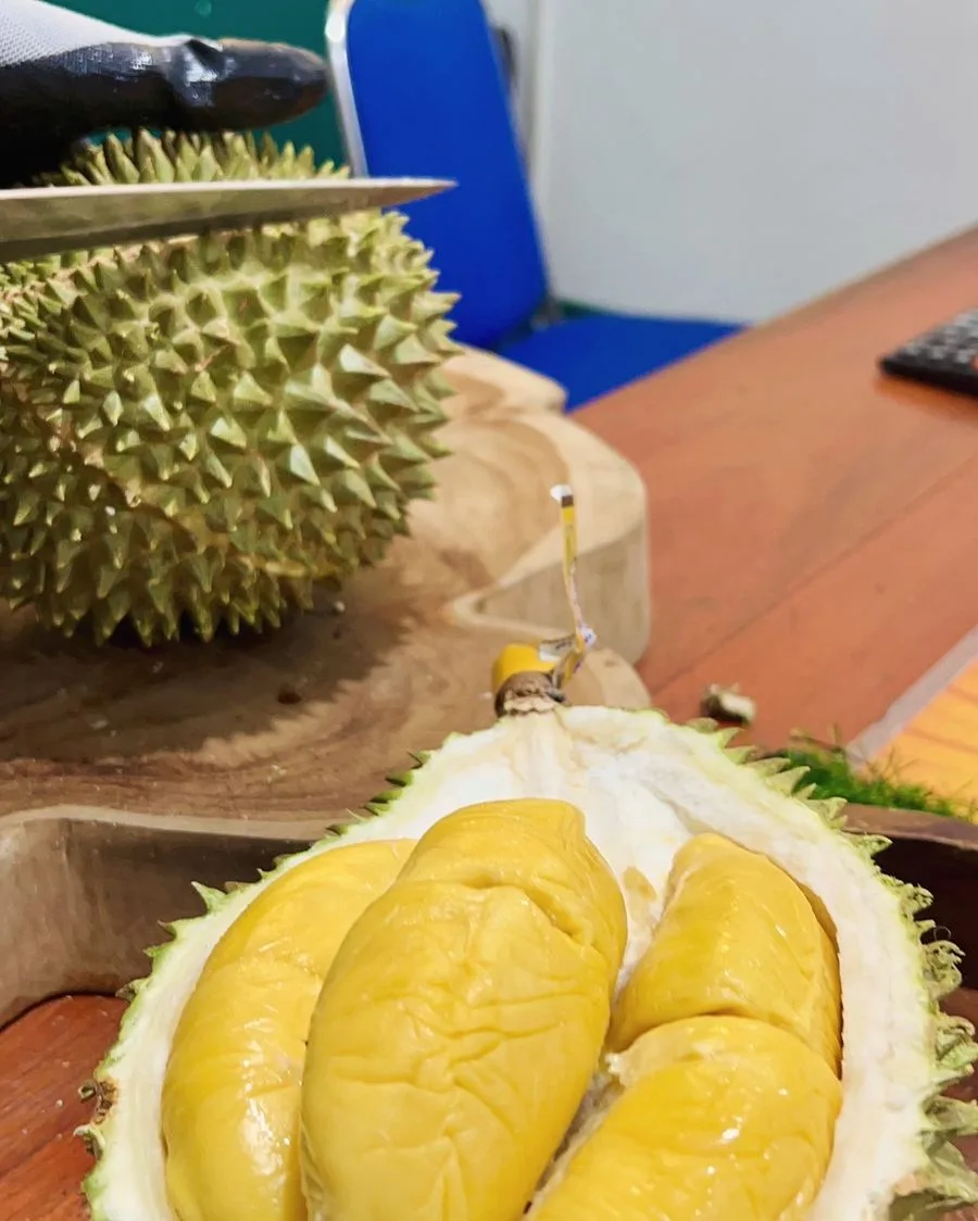 Durian Musang King import Malaysia Cicip Durian