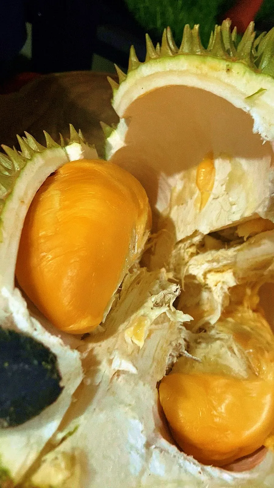 Durian Super Tembaga segar tersedia di Cicip Durian untuk area Bintaro