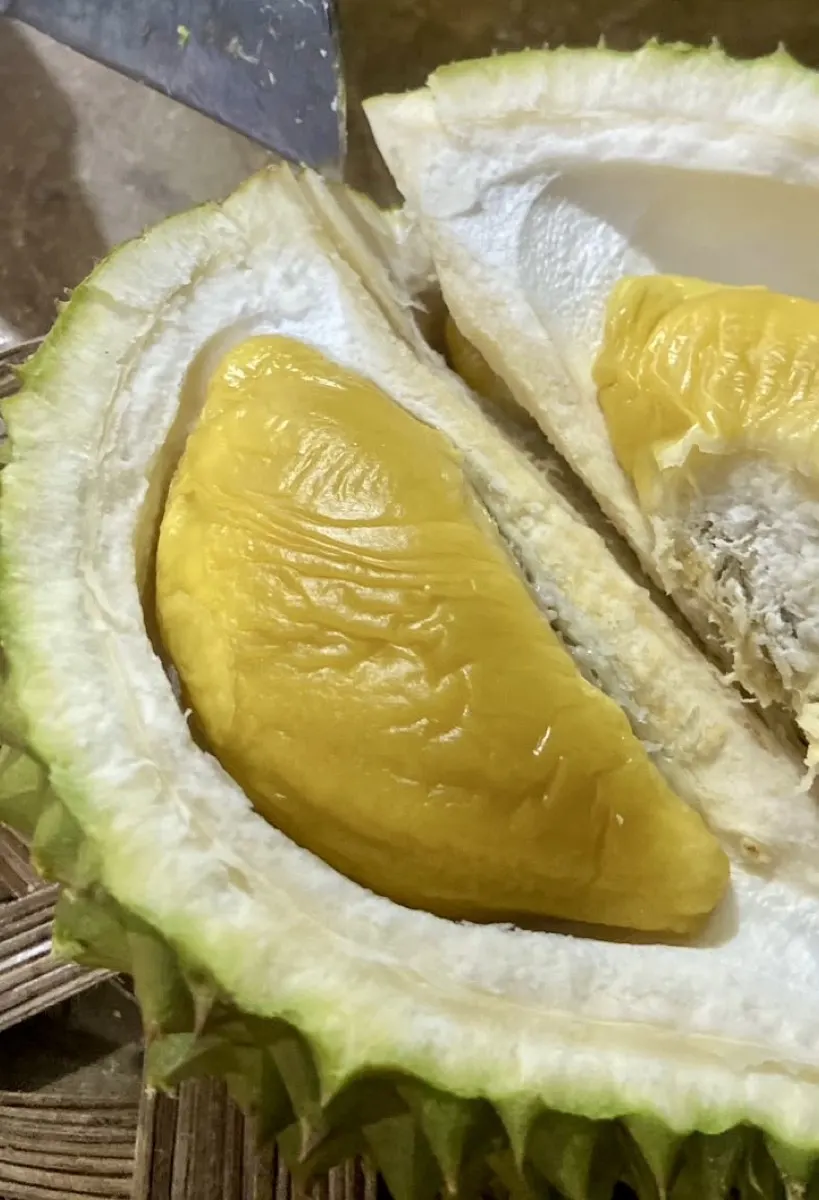 Daging durian tebal hasil seleksi Cicip Durian untuk Bogor
