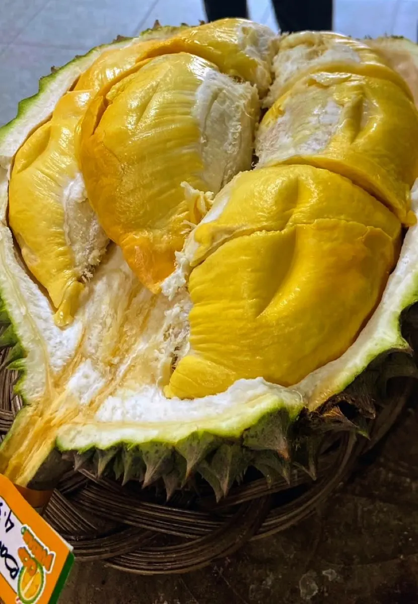 Daging durian kuning cerah, siap dinikmati di Senopati