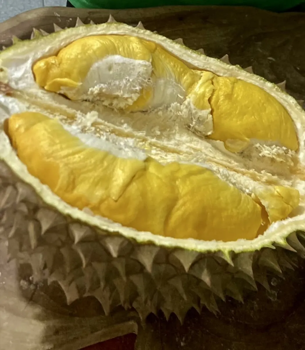 Daging durian tebal close-up, kualitas terjaga untuk Kabupaten Tangerang