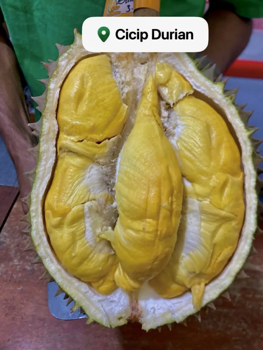 Durian tangerang selatan - Daging durian kuning tebal