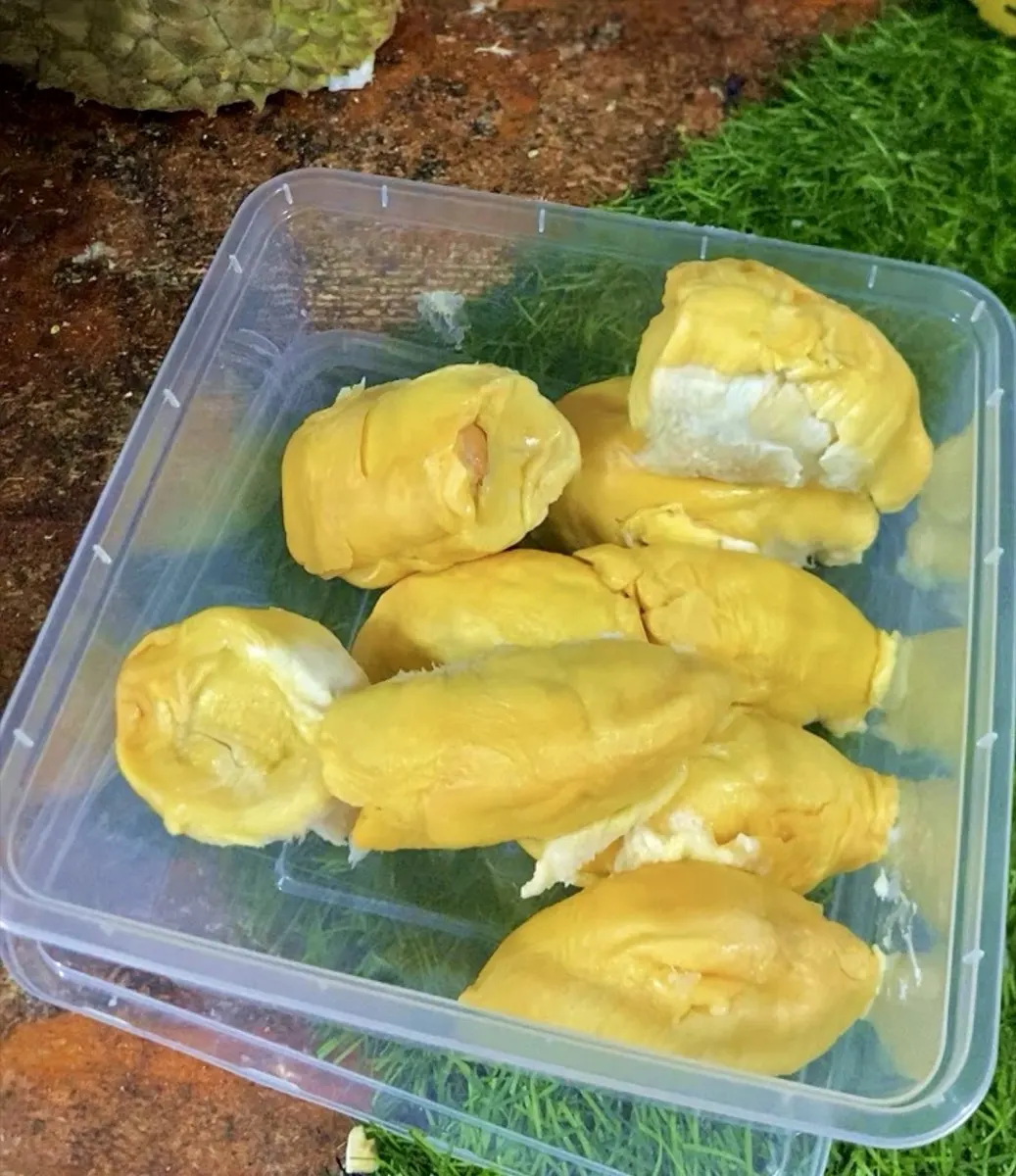 Kupasan durian segar siap kirim ke Tangerang