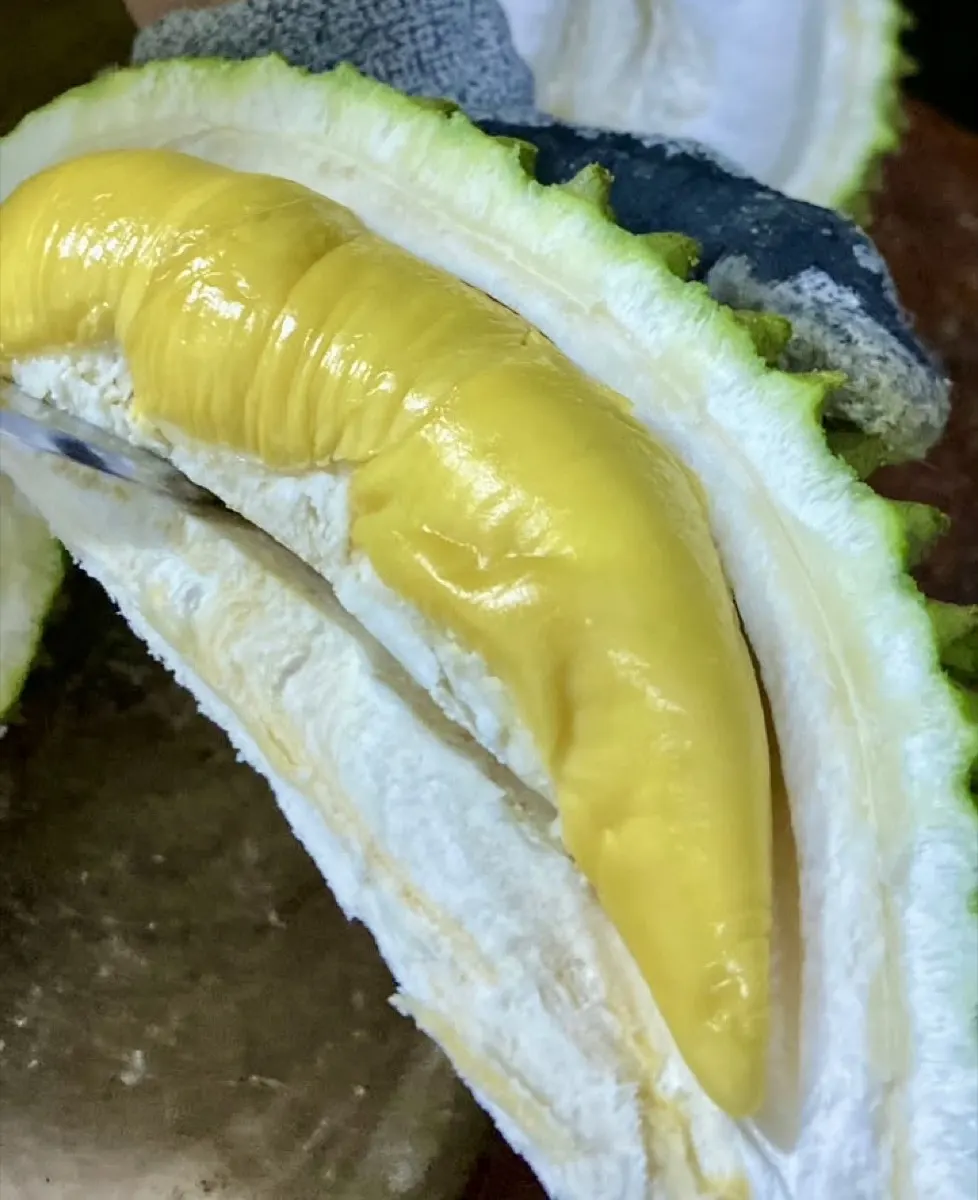 Proses membuka durian segar sebelum dikirim ke Ciledug