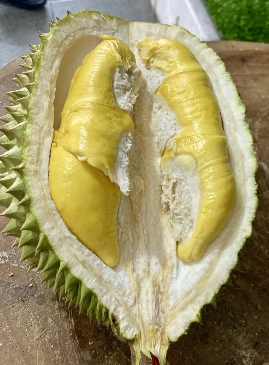 Daging durian tebal hasil panen terbaik untuk Karawaci Tangerang