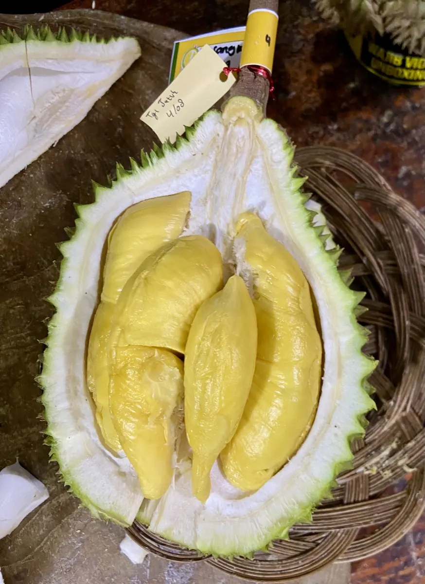 Isi durian tebal & legit, siap kirim ke Kemang