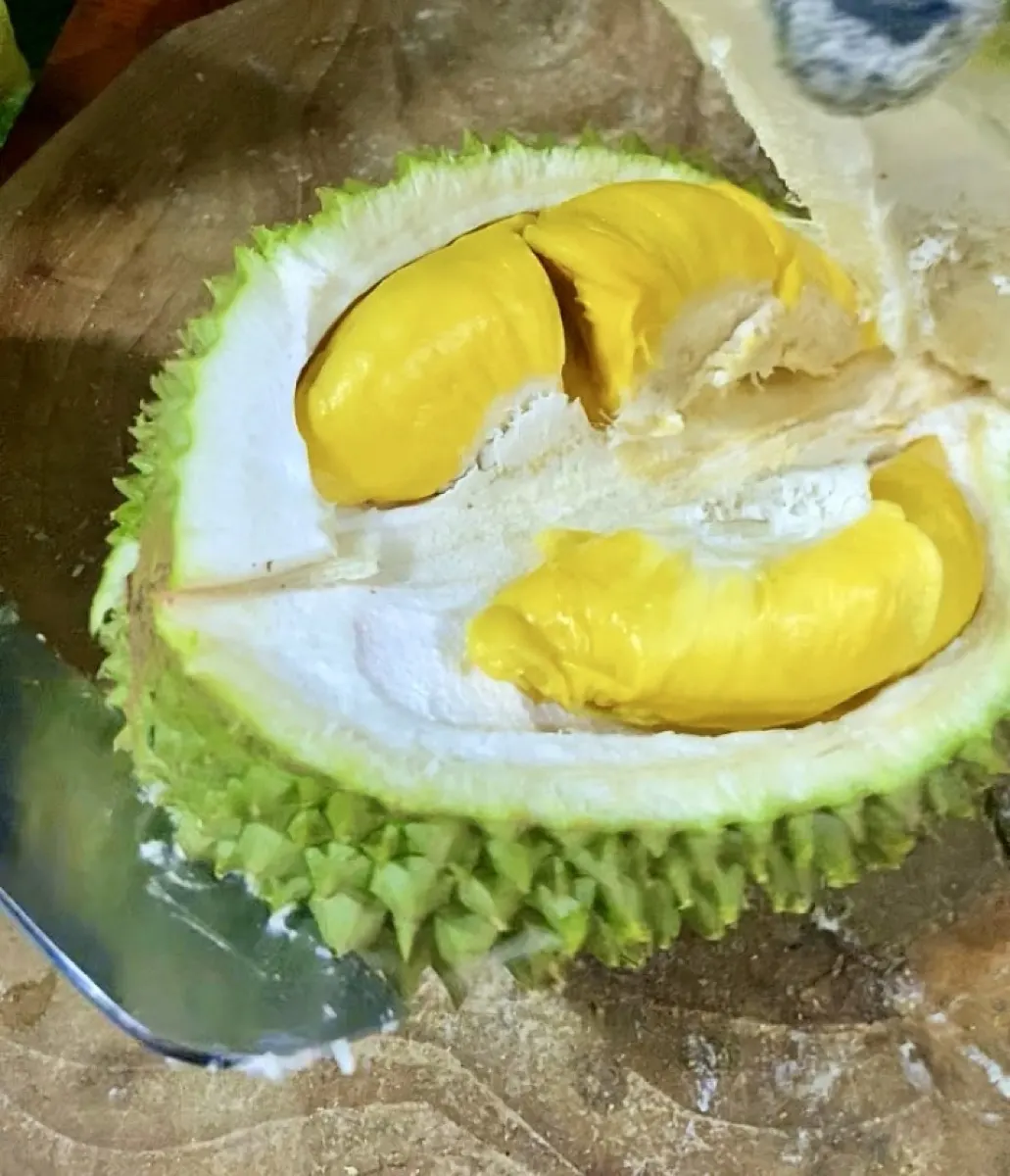 Durian dibelah menampakkan daging tebal, siap kirim ke Pluit