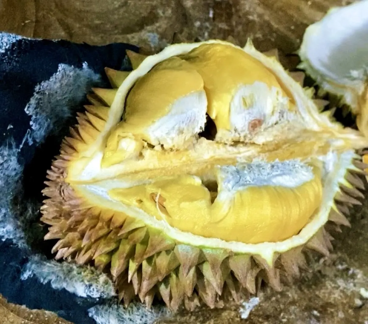 Daging durian oranye tebal, kualitas premium untuk Pondok Indah