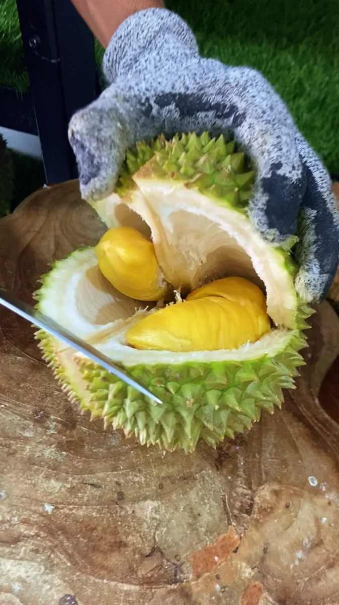 Proses QC Musang King sebelum dikirim ke BSD City