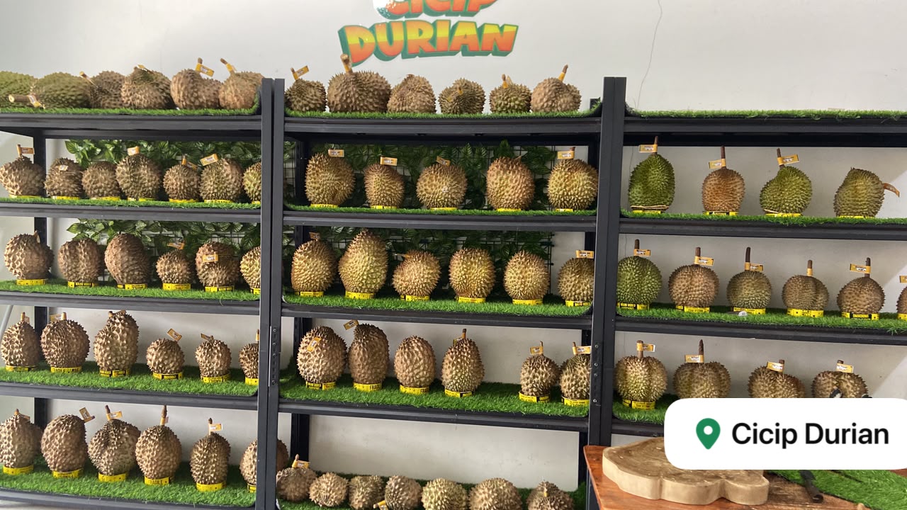 Agen durian premium