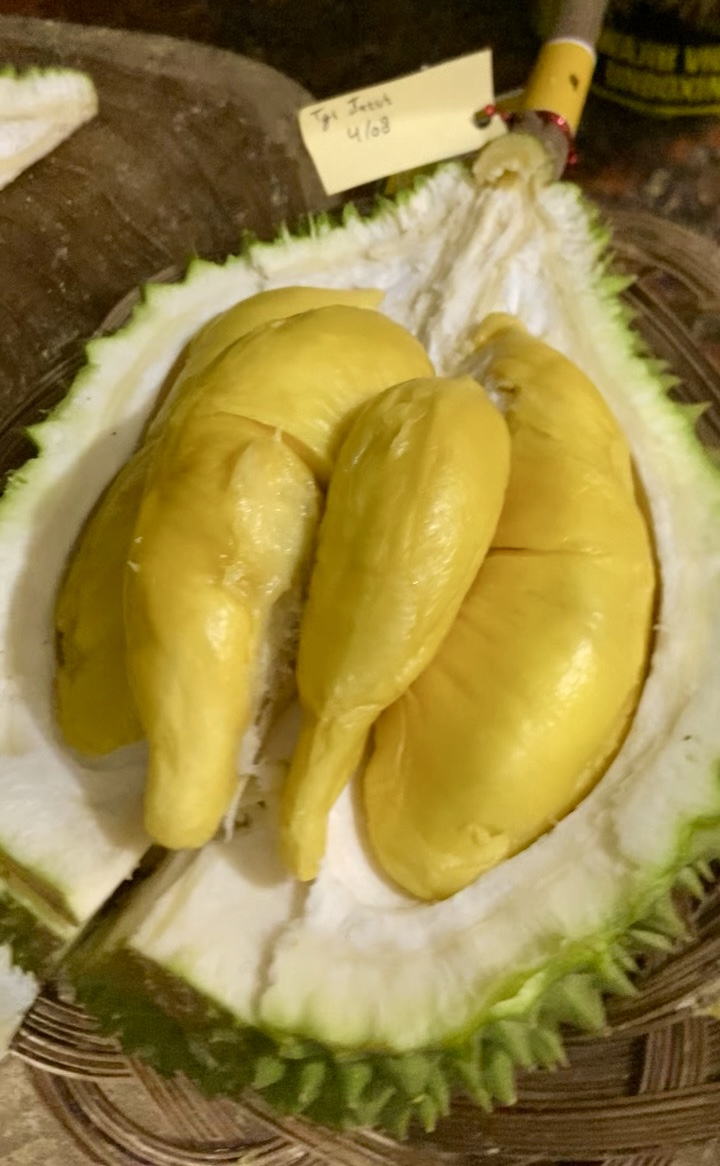 Durian bsd city