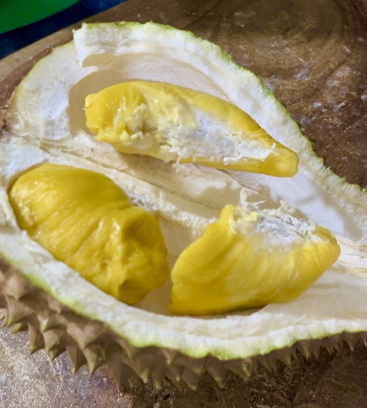 Durian cisauk