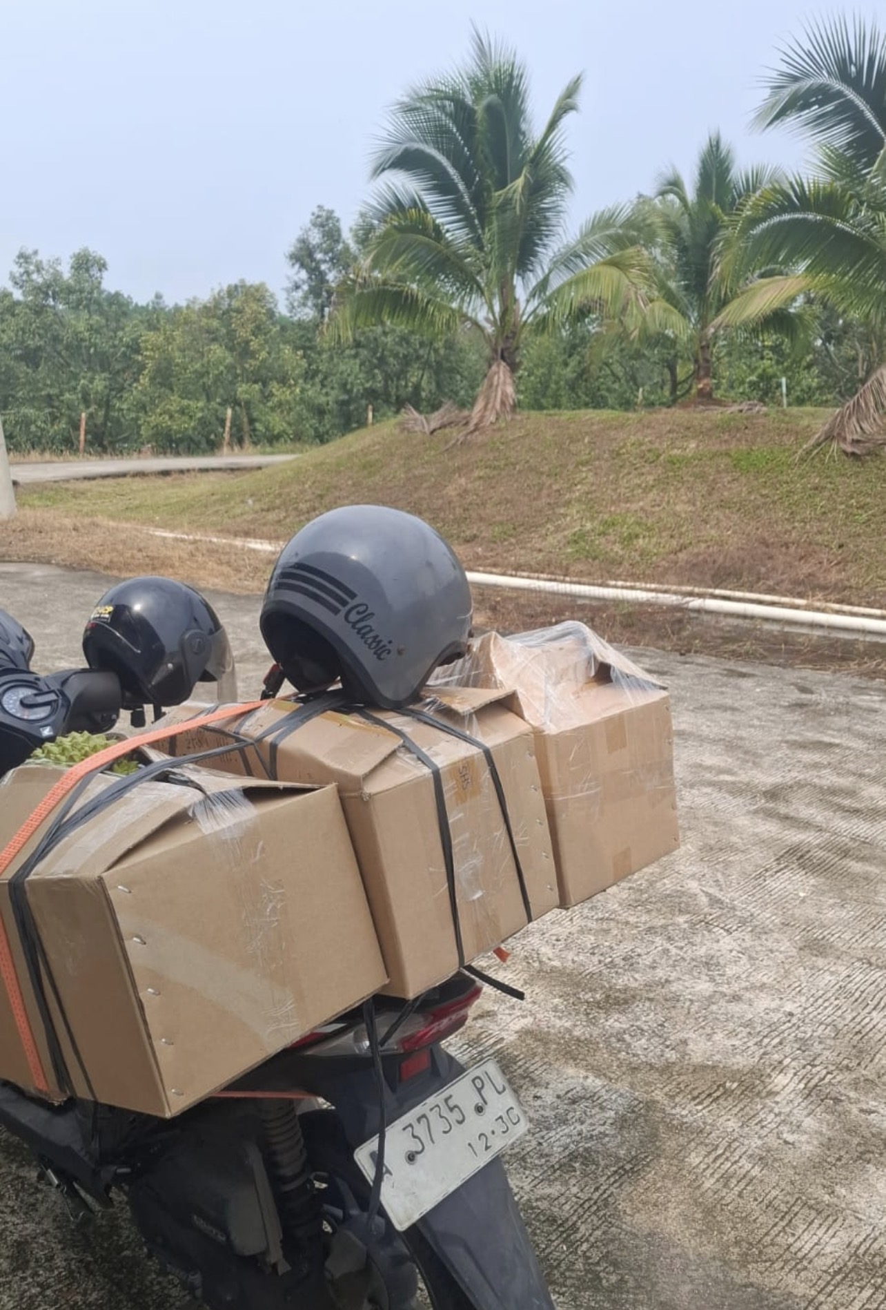 durian dari kebun langsung ke toko cicip durian