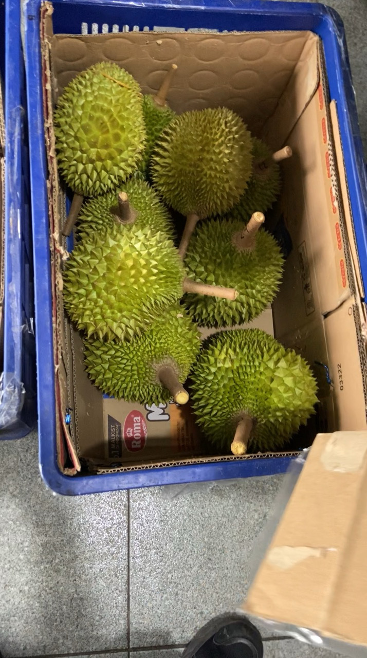 Durian untuk arisan