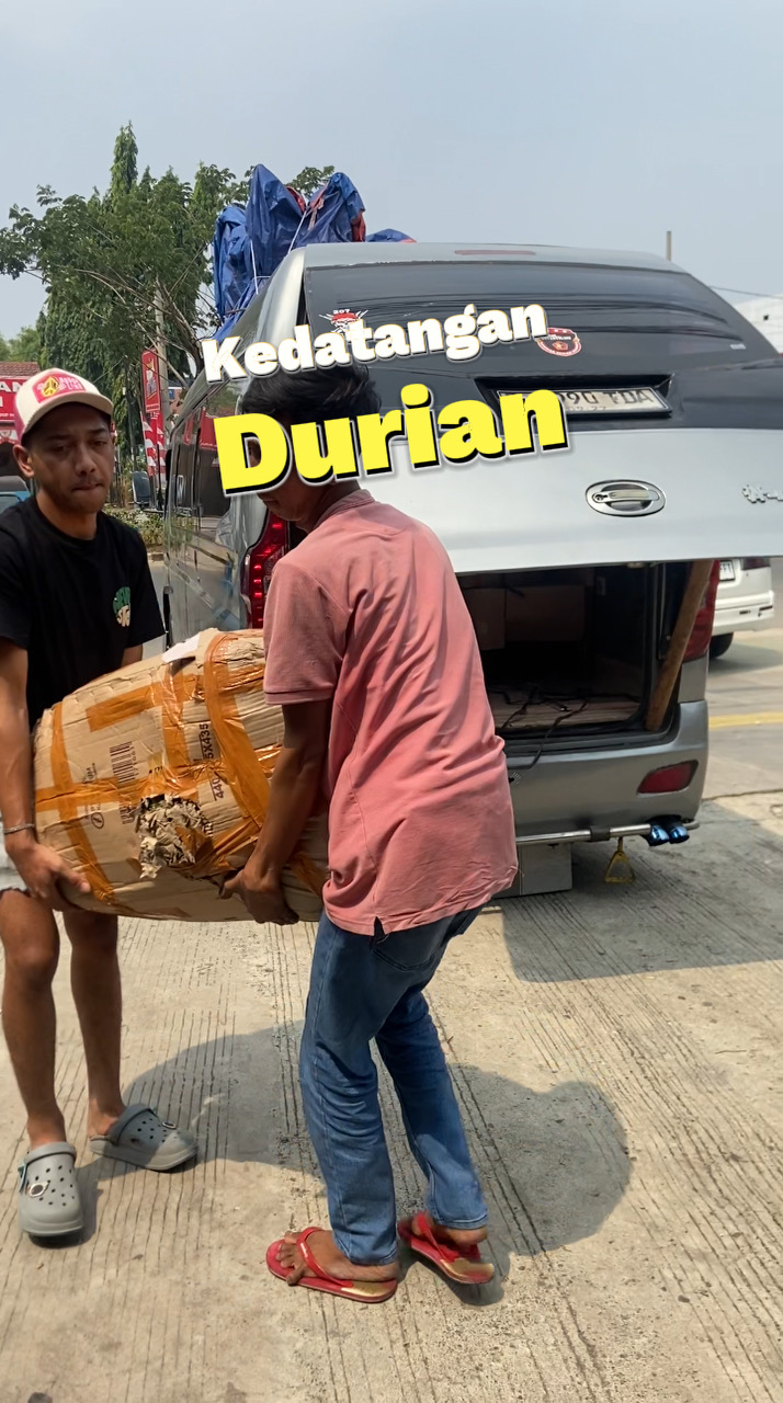 kedatangan durian fresh ke toko cicip durian