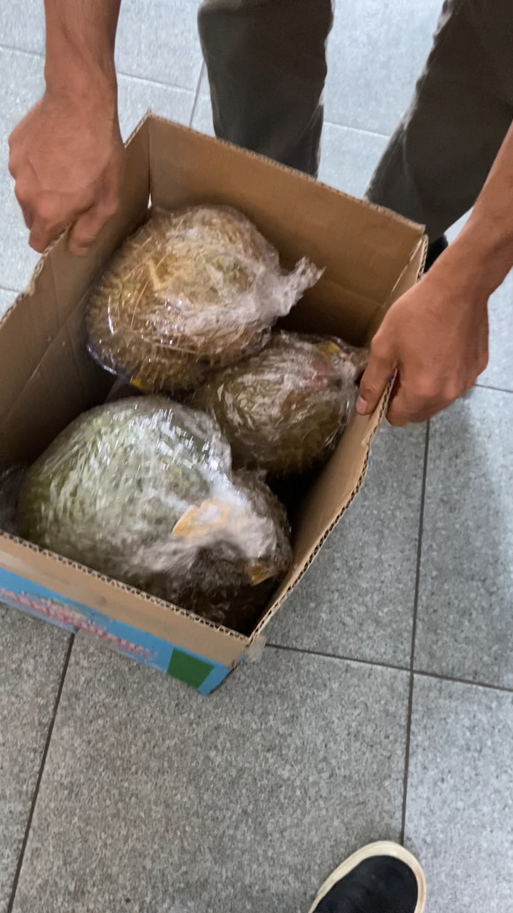 Proses packing durian premium