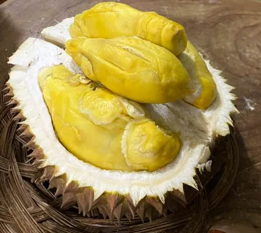 Simimang