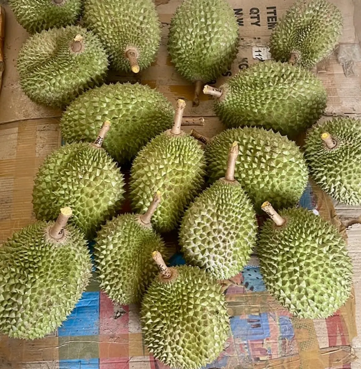 Durian hasil sortir siap kirim ke Cilandak