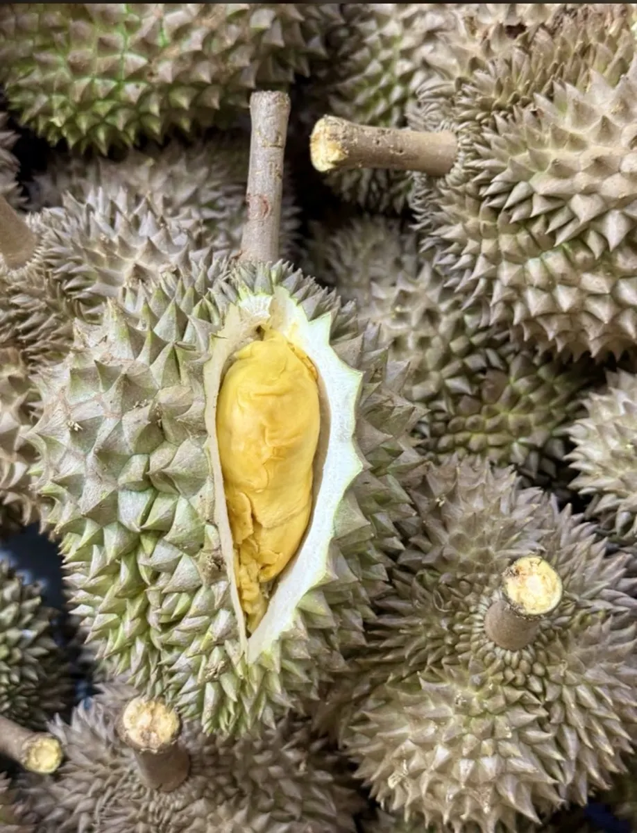 Durian matang sempurna di tengah stok Cicip Durian untuk Jakarta Pusat