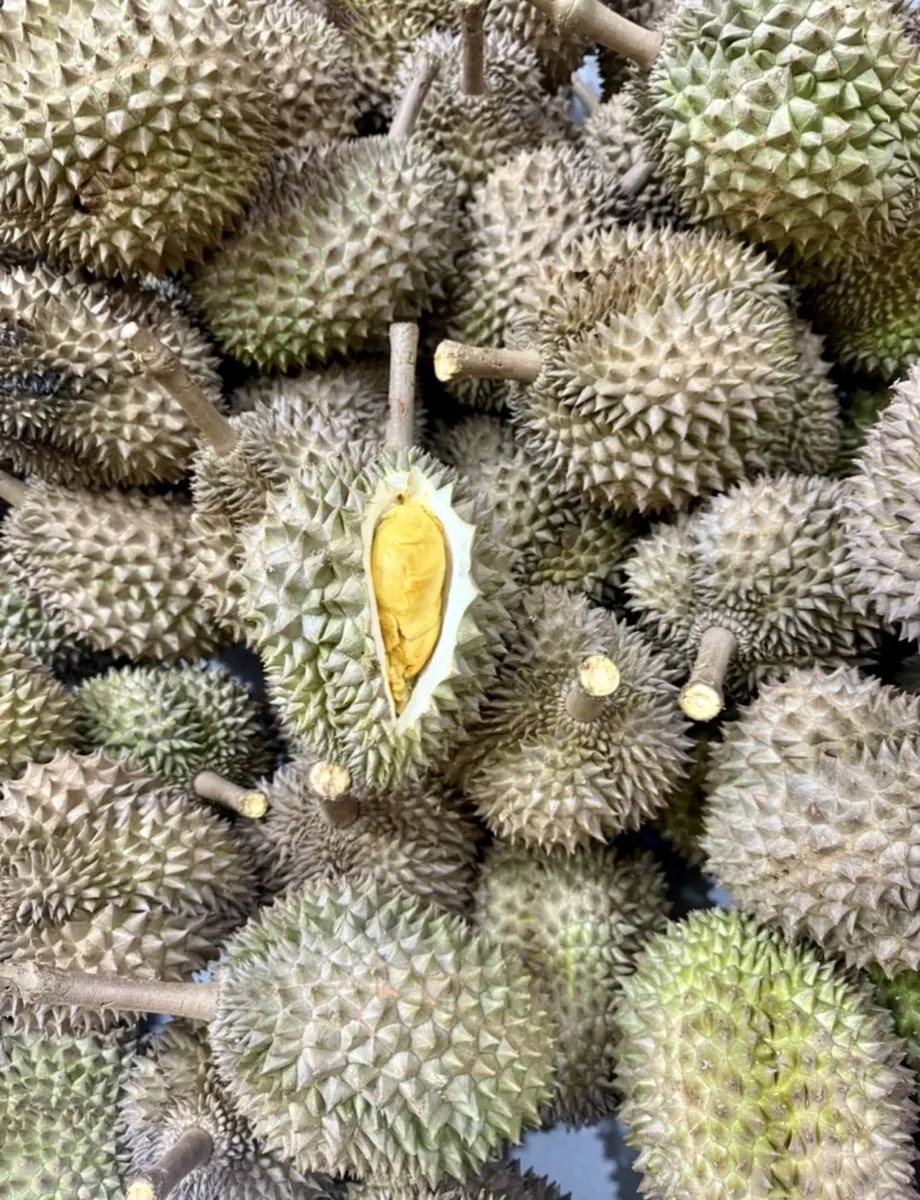 Durian pilihan dari stok segar Cicip Durian untuk Jakarta Utara
