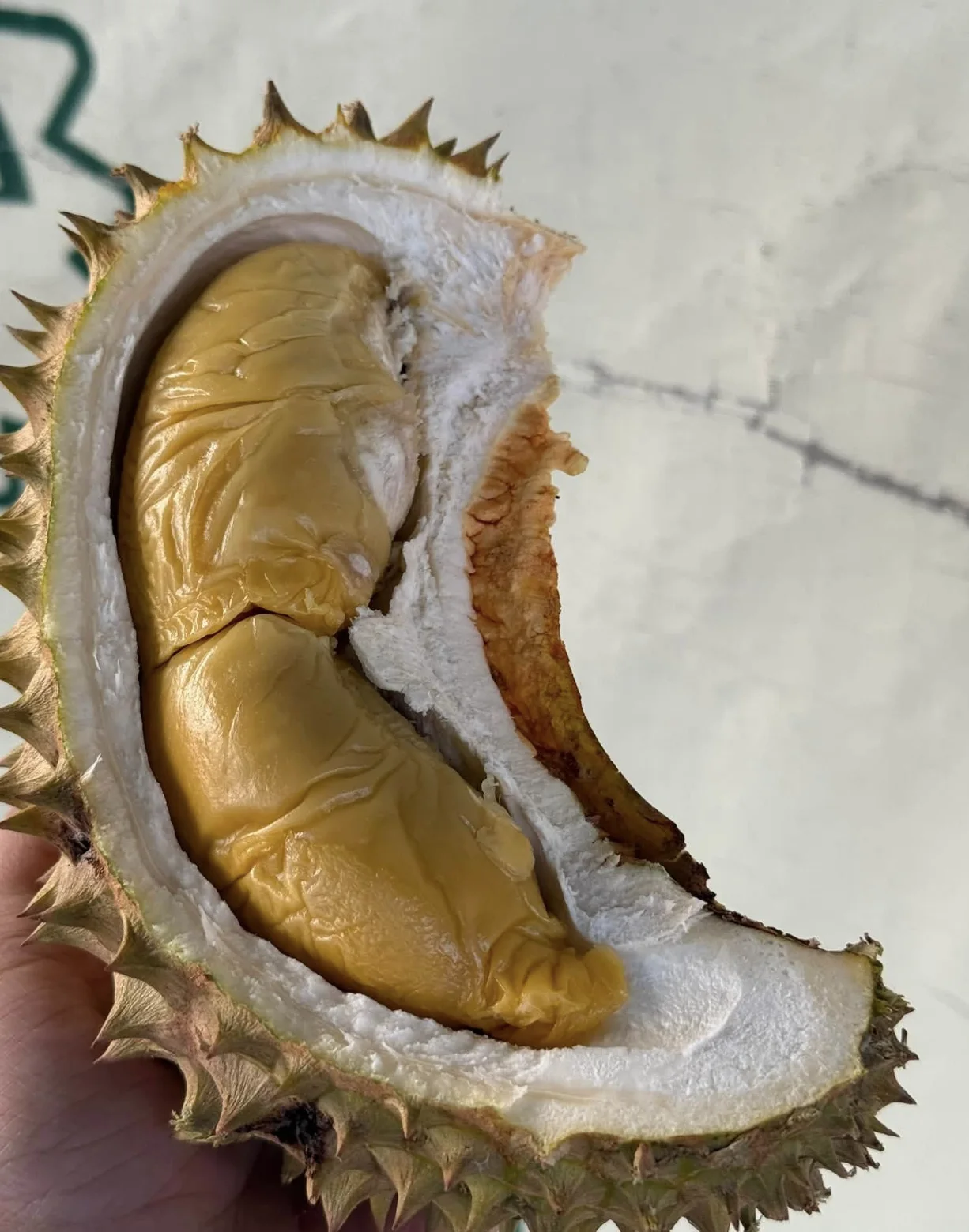 Durian Tekka / Musang Queen D160