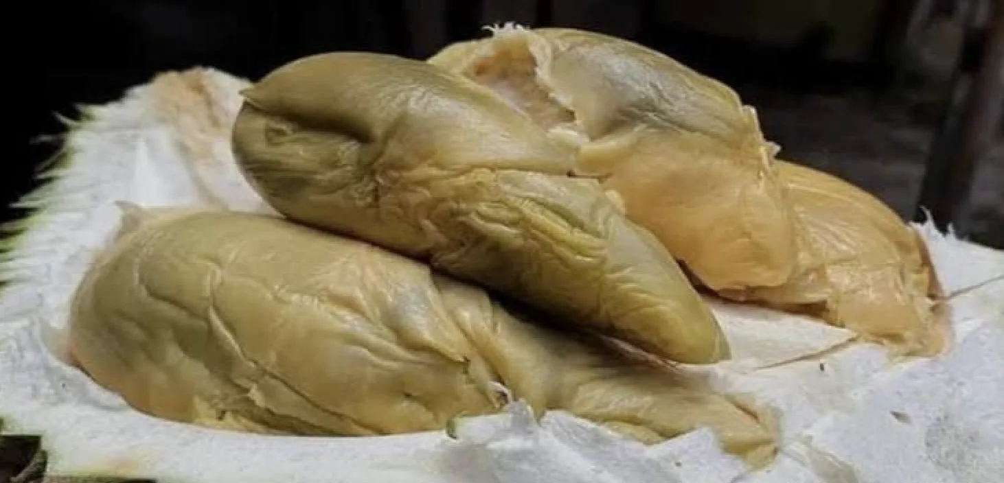 Daging Durian Tupai King disajikan di atas kulitnya yang berduri